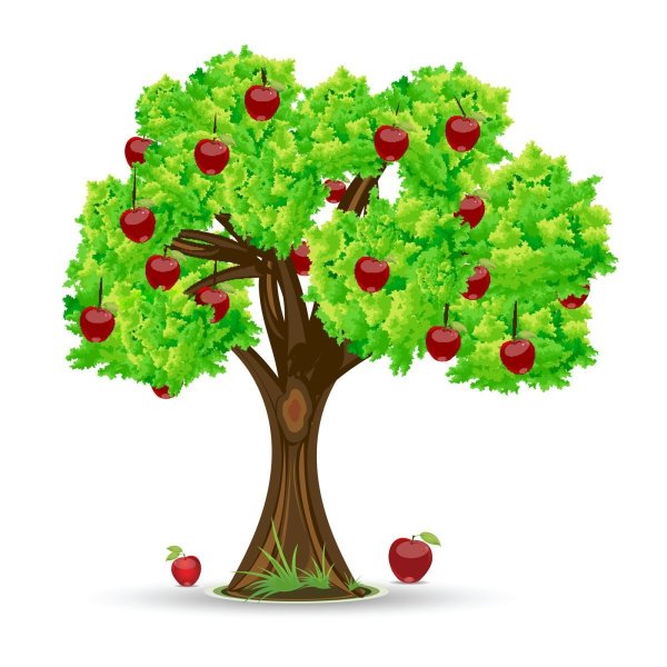 Плодовые деревья для дошкольников