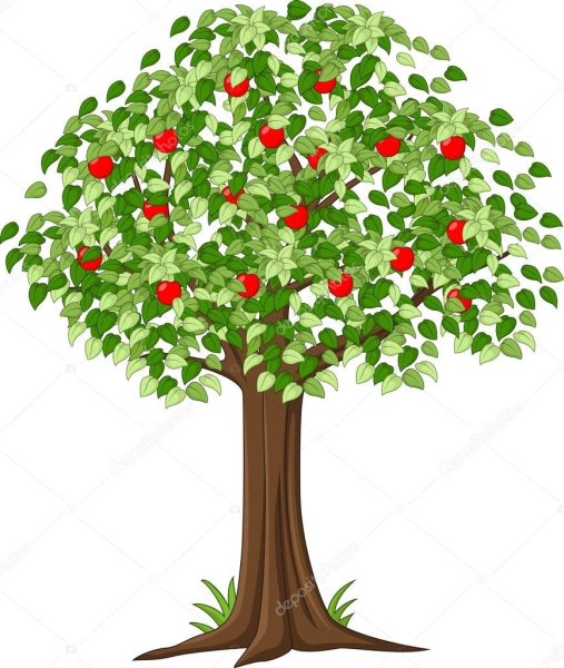 Яблоня дерево для детей