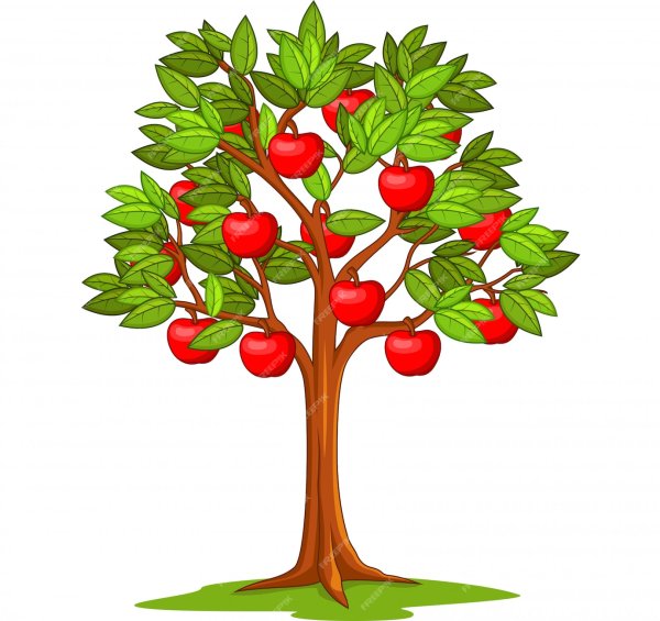 Яблоня дерево для детей