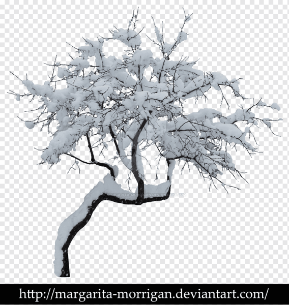Снежные деревья на прозрачном фоне