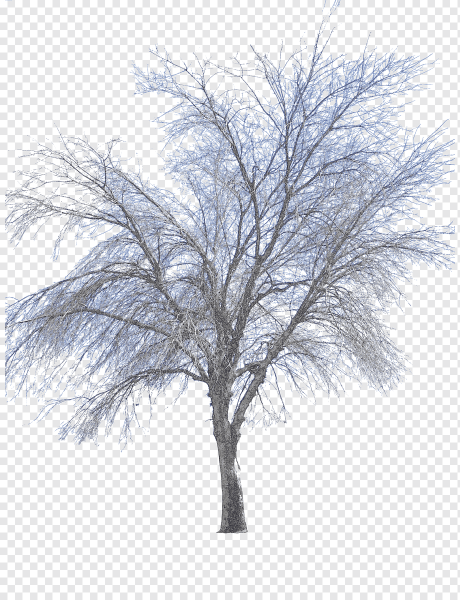 Дерево зимнее для рендера
