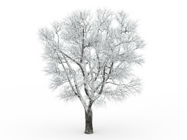 Деревья для фотошопа зима