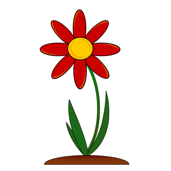 Цветы для детей