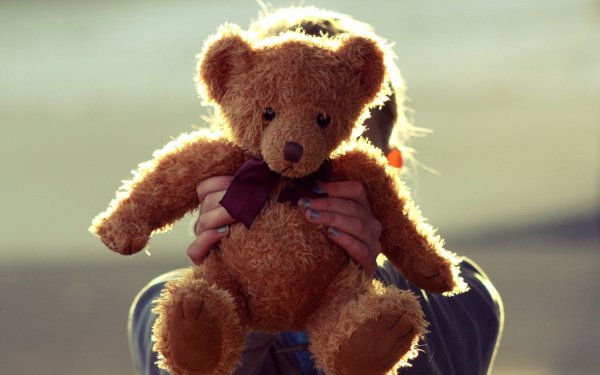 Медведь Teddy Bear
