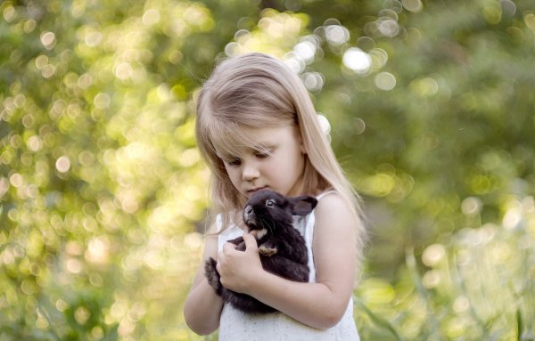 Маленькая девочка с кроликом