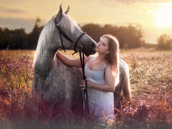 Лошадь и девушка любовь