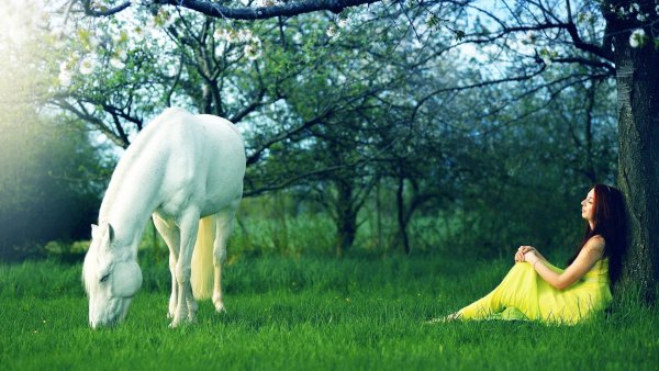 Девушка и белая лошадь