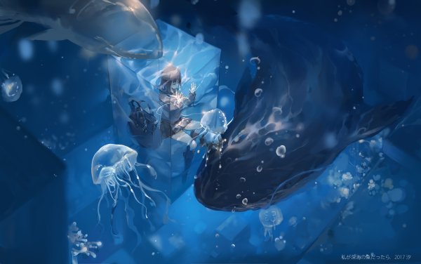 Подводный мир медузы