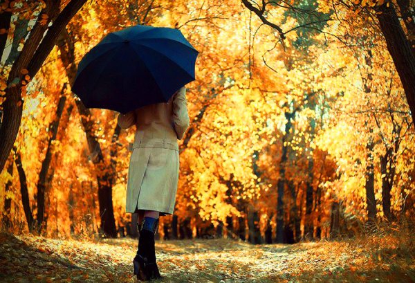 Девушка с зонтом осенью