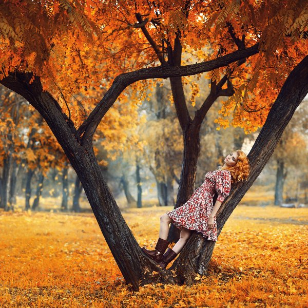 Осенний фотосет в парке