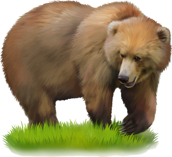 Медведь картинка для детей на прозрачном фоне