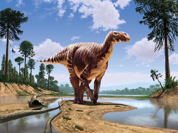 Травоядные динозавры Игуанодон
