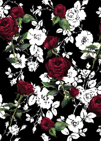 Дольче габбана розы на черном фоне