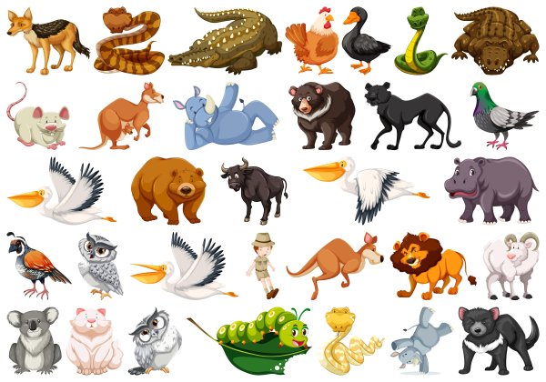 Несколько животных на одной картинке