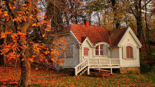 Деревянный дом осень
