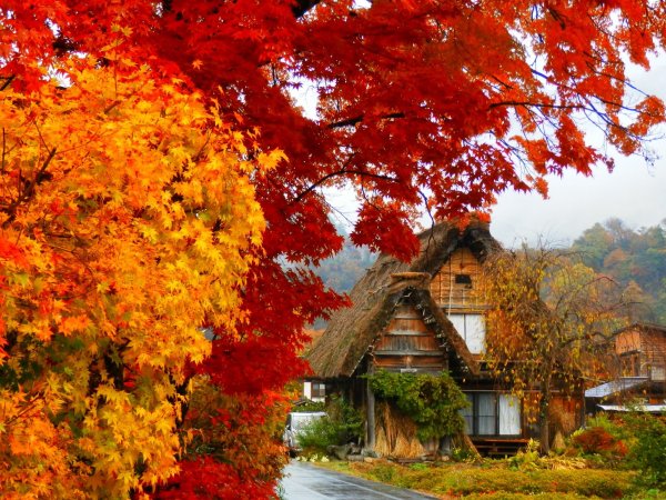 Осень домик