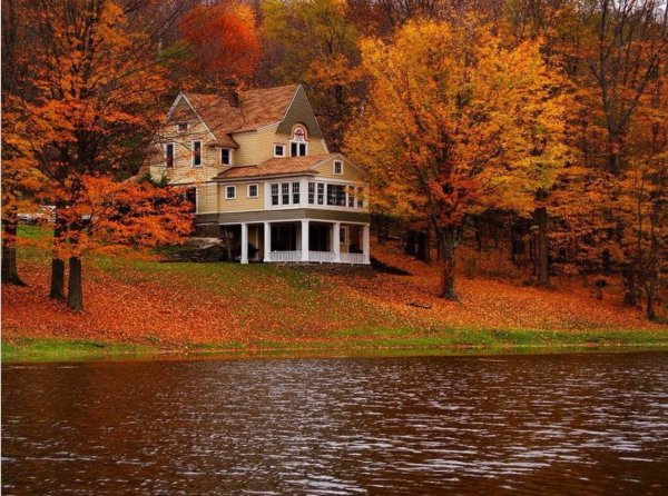 Осень дом
