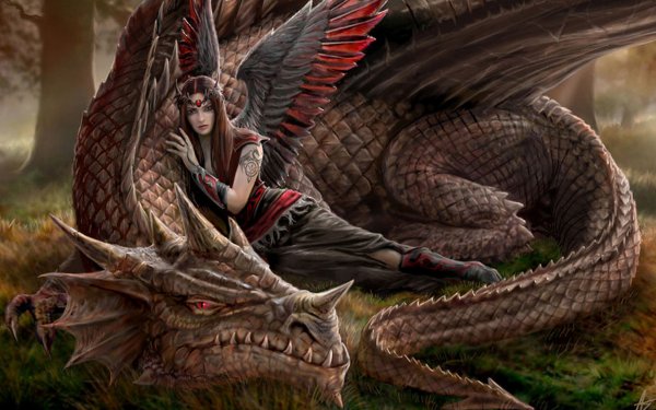 Anne Stokes драконы с девушкой