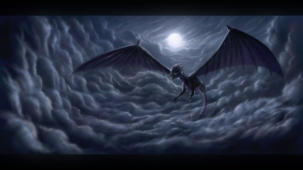 Драконы ночи