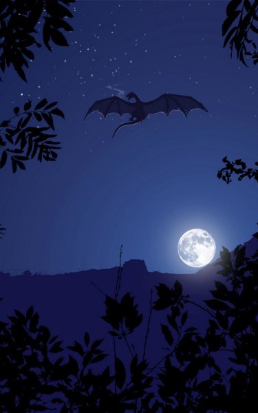 Дракон в ночном небе