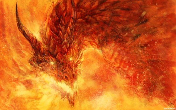 Красивый Огненный дракон