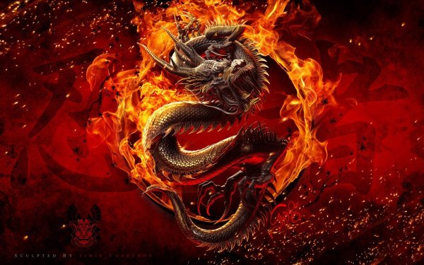Китайский Огненный дракон