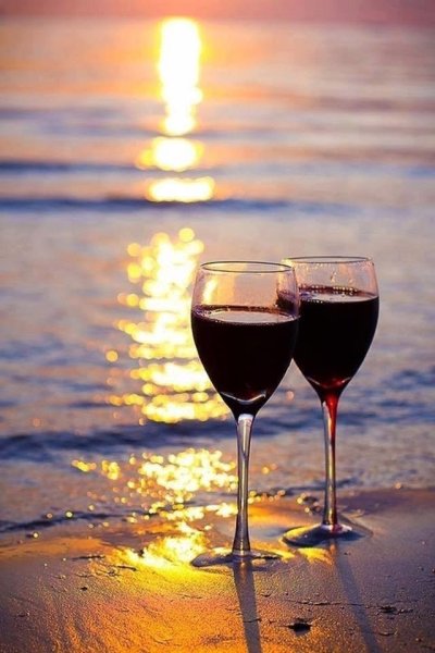 Вино и море цитаты