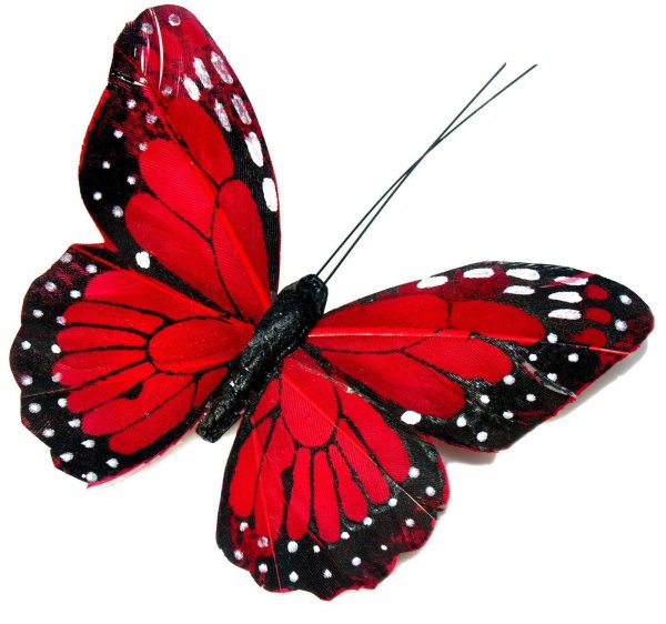 Красные бабочки на белом фоне