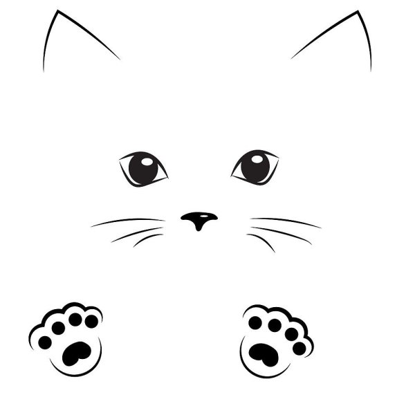 Мордочка кошки рисунок