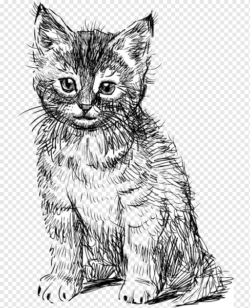 Кошка рисунок