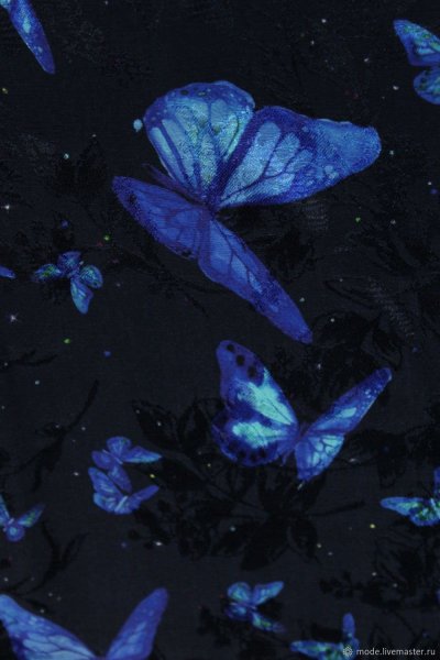Эстетика бабочки на синем фоне