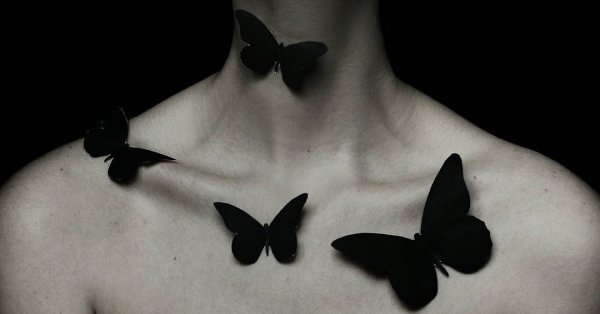 Мрачные бабочки