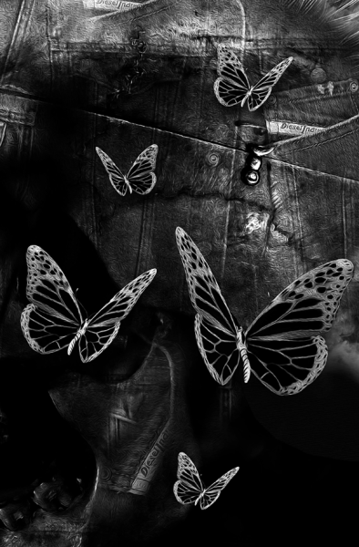 Черно белые бабочки Эстетика