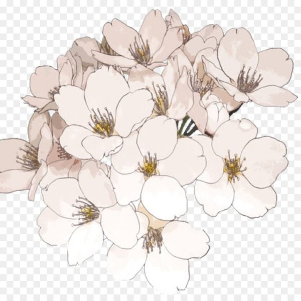 Цветы акварель на прозрачном фоне