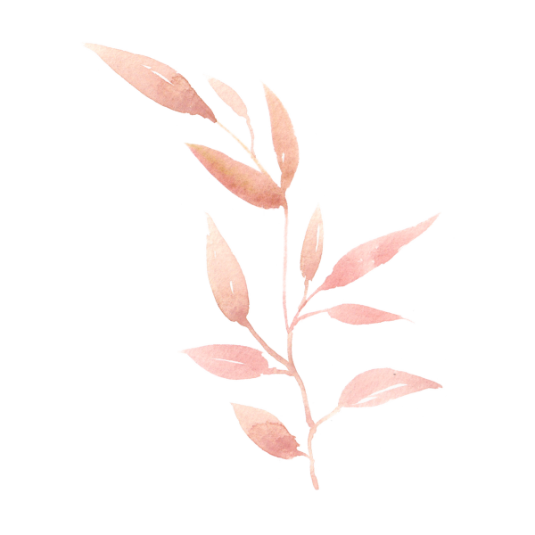 Ветка с листьями на прозрачном фоне