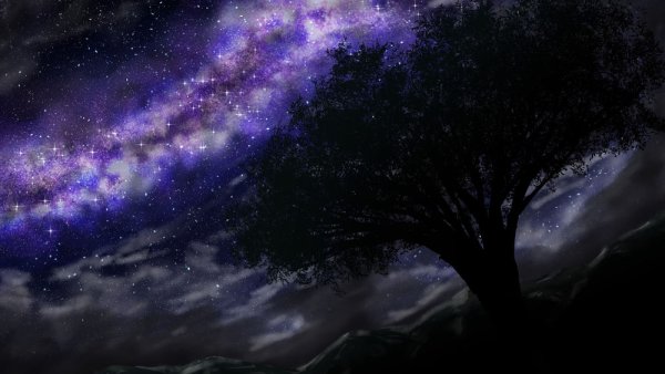 Дерево на фоне ночного неба арт 3000 на 3000