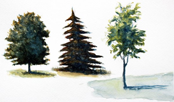 Этюд зимнего дерева гуашью