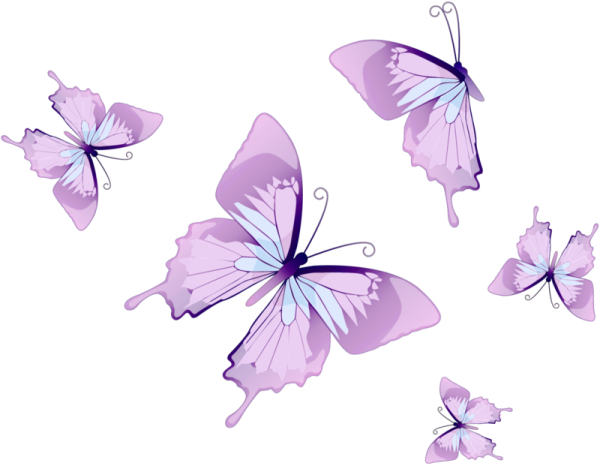 Розовые бабочки