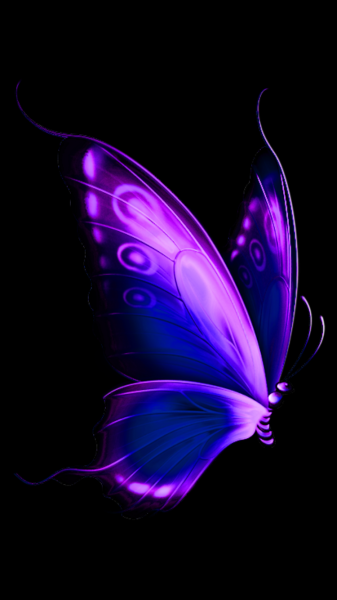 Неоновые бабочки