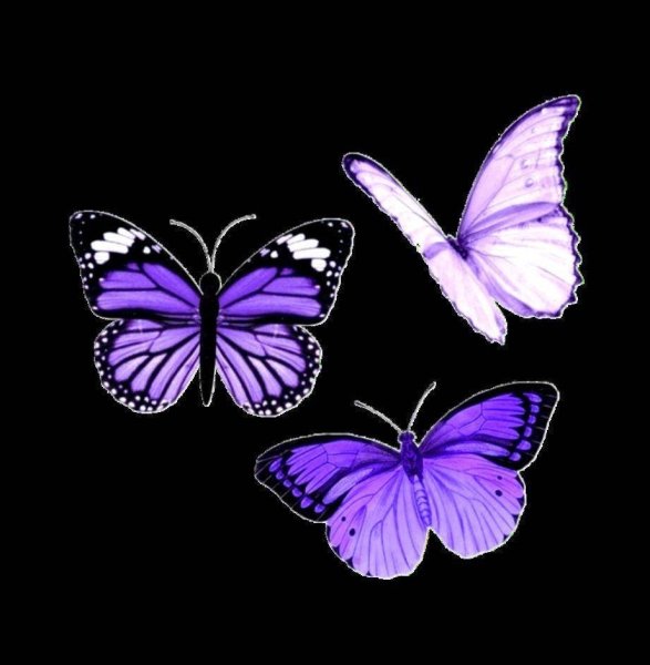 Сиреневые бабочки Эстетика