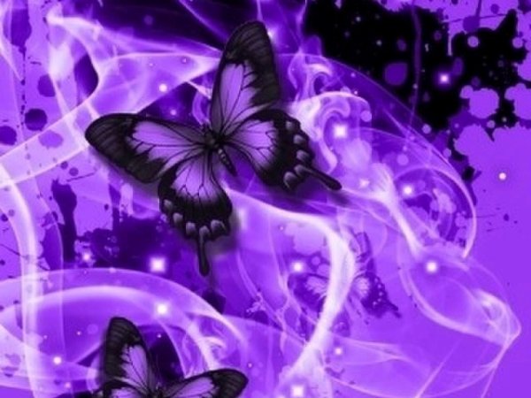 Черно фиолетовая бабочка