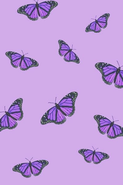 Бабочки фиолетового цвета