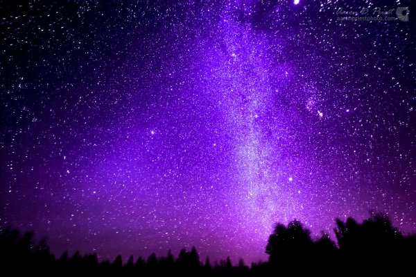 Фиолетовая звезда