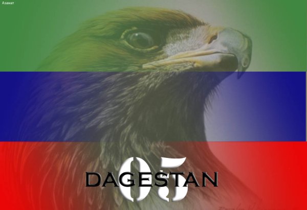 Дагестанский флаг с гербом