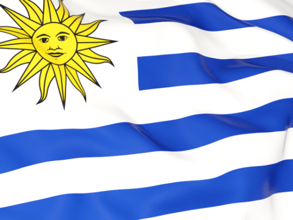 Флаг с голубыми полосками и солнцем