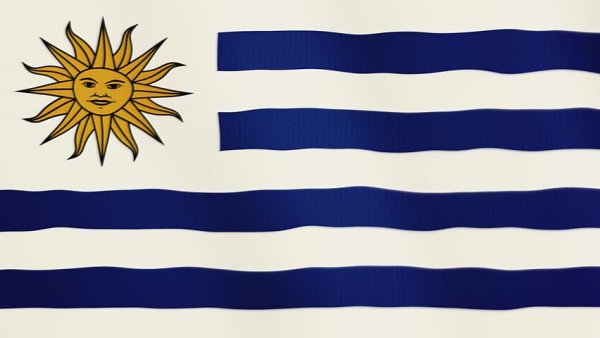 Флаг с солнцем и полосками синими