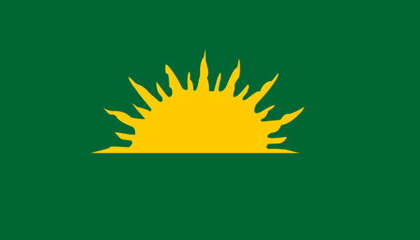 Зеленый флаг с желтым солнцем