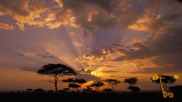 Климат Танзании