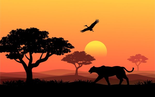 Африканский пейзаж на закате