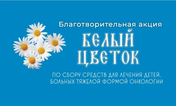 Акция белый цветок Воронеж
